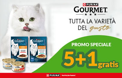 Scopri i prodotti!